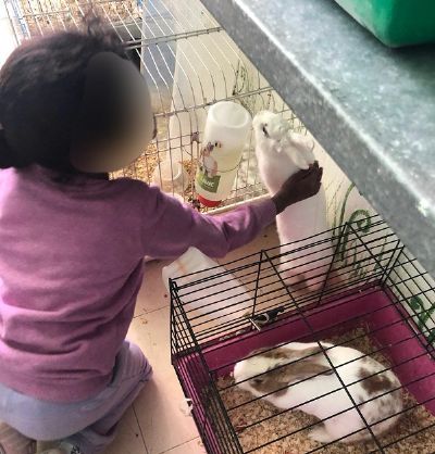 רינת בנדיקט – מטפלת רגשית בסיוע בעלי חיים לילדים ו