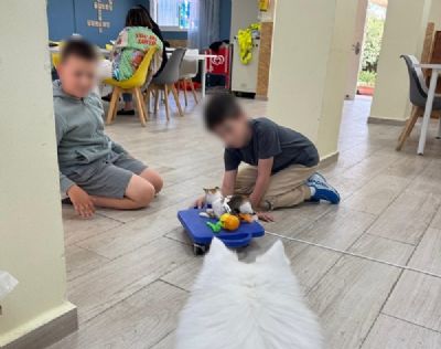 רינת בנדיקט – מטפלת רגשית בסיוע בעלי חיים לילדים ו