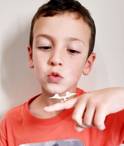 טיפול בילד - קרנית בן ישר - מטפלת רגשית בעזרת בע"ח