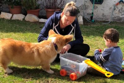 פלורי אמבון - מטפלת בעזרת בעלי חיים בילדים ונוער
