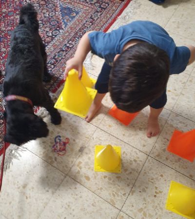 שושן ניצן - מטפלת בעזרת כלבים תל אביב