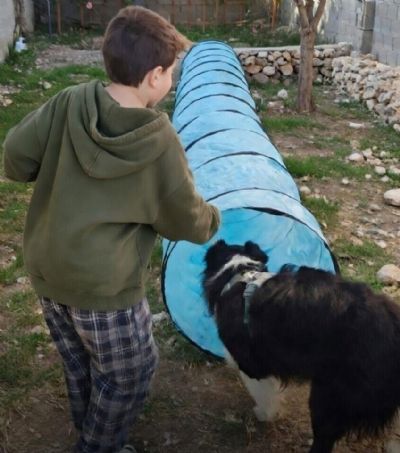 שושן ניצן - מטפלת בעזרת כלבים תל אביב
