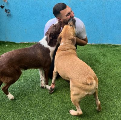 ליעד אגבבה - כלבנות טיפולית בת ים