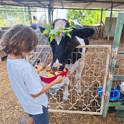 תלמה תומסון - טיפול ושיקום בעזרת בעלי חיים והדרכת