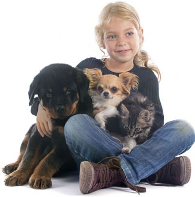 ילדה עם בעלי חיים - ביטוח לחיות