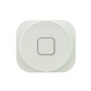 כפתור בית לבן לאייפון 5