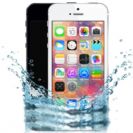 ניקוי קורוזיה ונזקי מים Apple iPhone 5G/5C/5S אפל