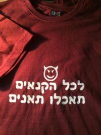 חולצות לטיול שנתי