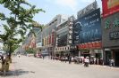 מדרחוב וואנג פו ג'ין - Wangfujing Street