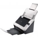 AVISION Scanner AV176U