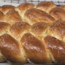 מזון+ חדשות