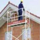 פיגום פייבוריט - Z300