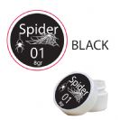 spider01