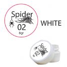 spider02