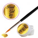 paint gel 03