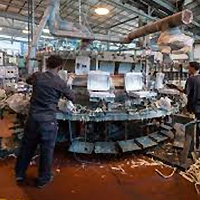 פוליריט - זיקים