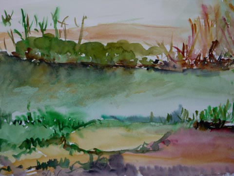 Debbie Eshel - Painter