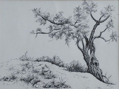 Daniela Porat - Painter