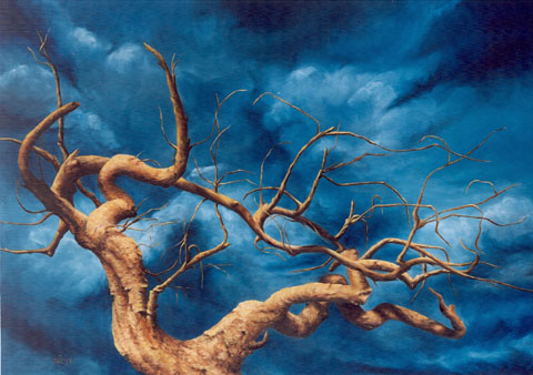 Daniela Porat - Painter