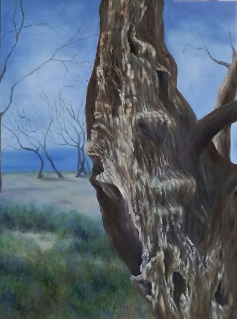 Daniela Porat - Painter