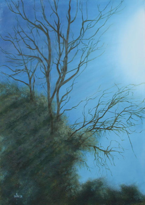 Daniela Porat - Painter