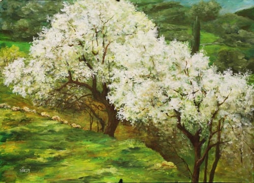 Daniela Porat - Painter