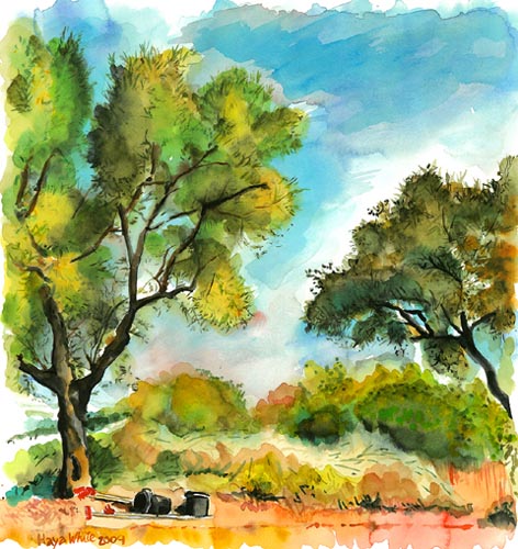 Haya White - Painter