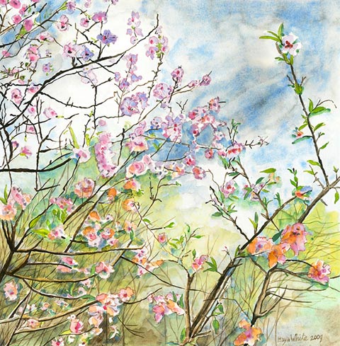 Haya White - Painter