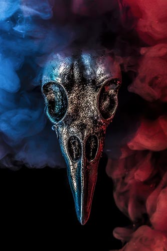 Moti Vagman - Photographer, digital artis