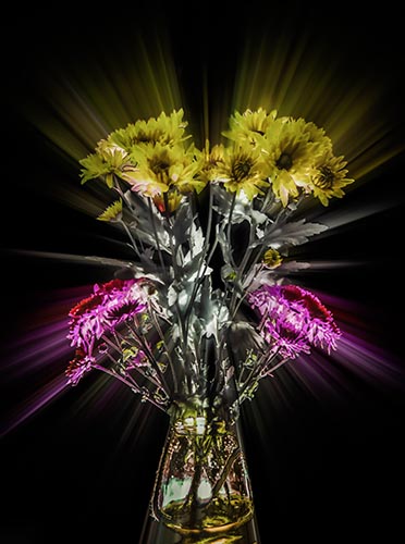 Moti Vagman - Photographer, digital artis