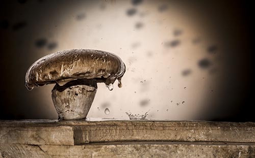 Moti Vagman - Photographer, digital artis
