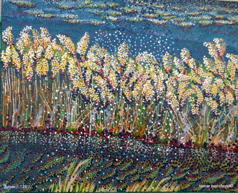 Tamar Ben david - Painter