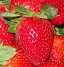 ניוזלטר תזונה פונקציונלית: גיליון מספר 18