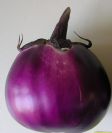 The Eggplant Genome Project