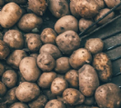 "Potato futures: impact of hybrid varieties"- Conference on 30.11.2020