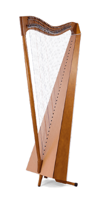 נבל דרום אמריקאי