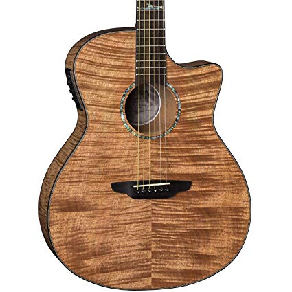 גיטרה אקוסטית מוגברת Luna Guitars HT EXM GCE