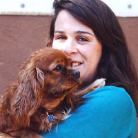 גוני סער רייס, טיפול בעזרת כלבים