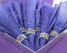 Silver Napkin Hug