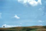 גבעה טיפוסית בטוסקנה (צילום: אלדד בן תורה)