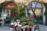 חנות פרחים במילאנו