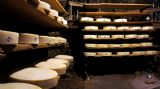 גבינות במרתף הגבינות