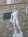 העתק הפסל של דוד בפירנצה (צילום: איציק קלדרון)