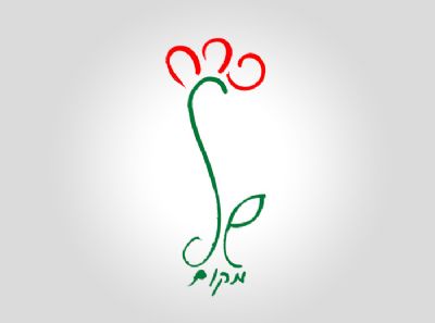 עיצוב לוגו לפרח של מקום - סטודיו גלית מועלם