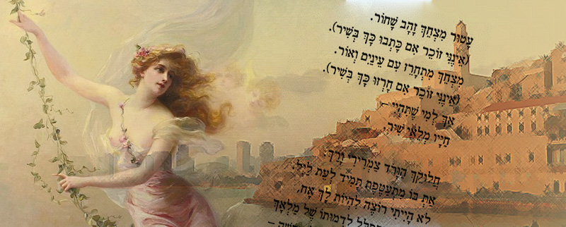 alt="סיור בעקבות נשים ביפו – קבוצה מטיילת בסמטאות 