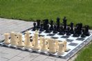 שחמט גינה ענקי