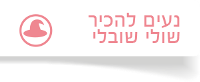 אודות שולי שובלי