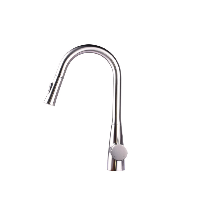 נשלף נירוסטה מקלח 2 מצבים