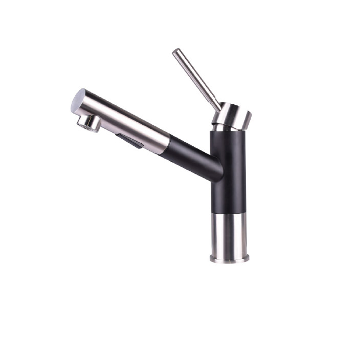 מקלח 2 מצבים משולב שחור