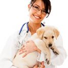 חיסונים בגורי כלבים